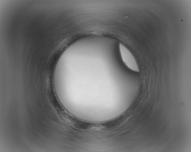 X0000062850595200601130923