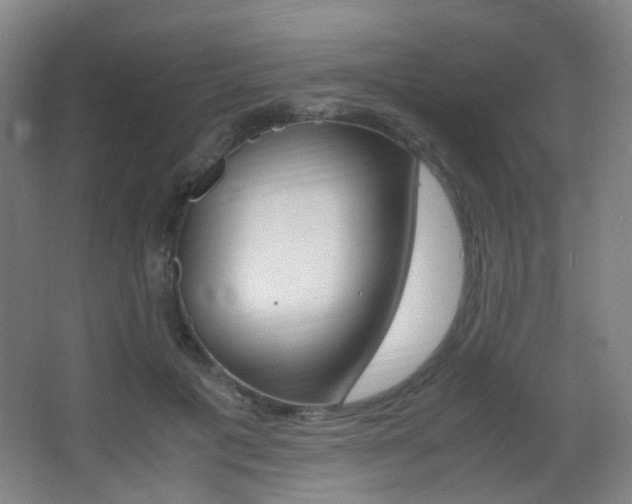 X0000062850601200601130923