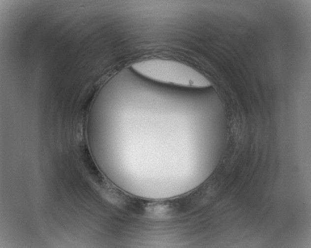 X0000062850602200601130923