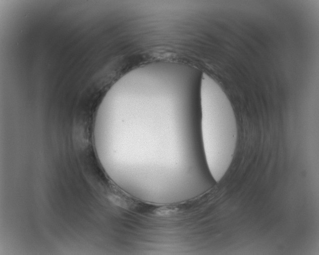 X0000062850606200601130923