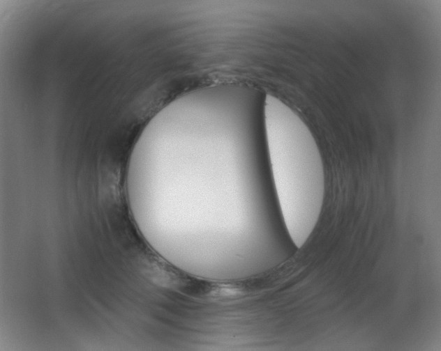 X0000062850610200601130923