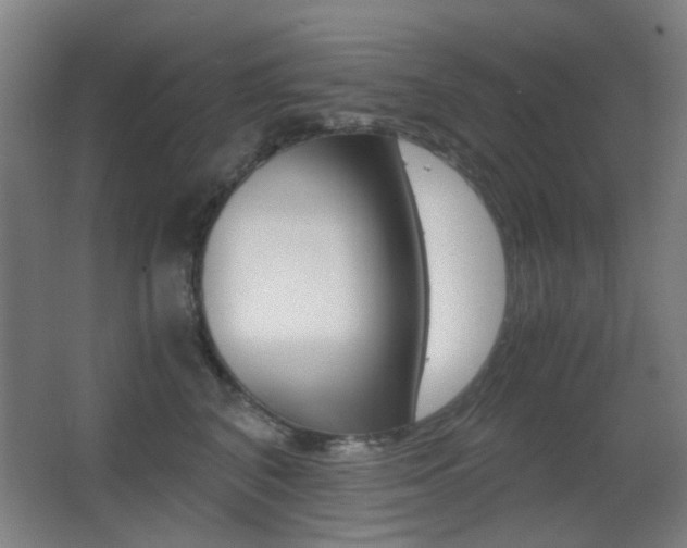 X0000062850616200601130923