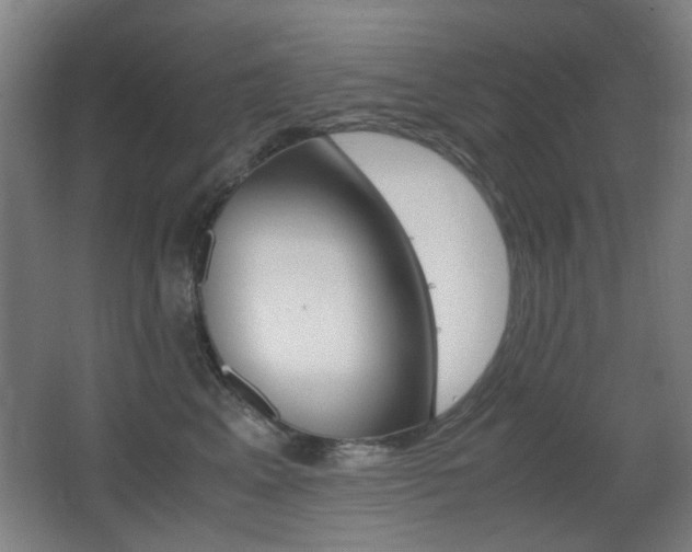 X0000062850617200601130923