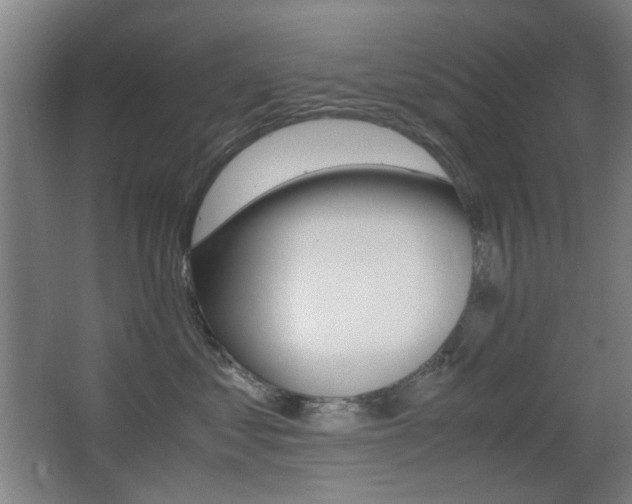X0000062850621200601130922