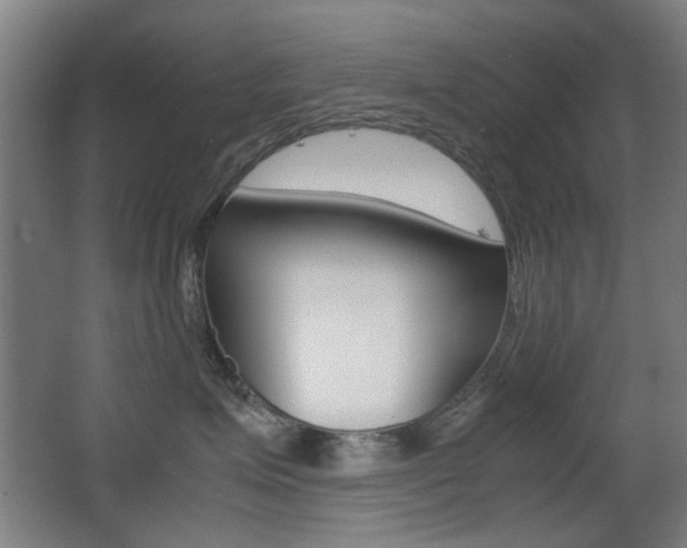 X0000062850623200601130922