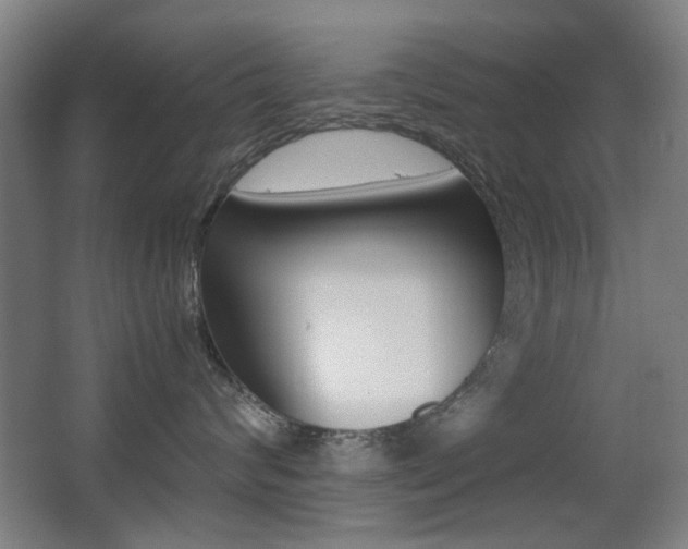 X0000062850624200601130922