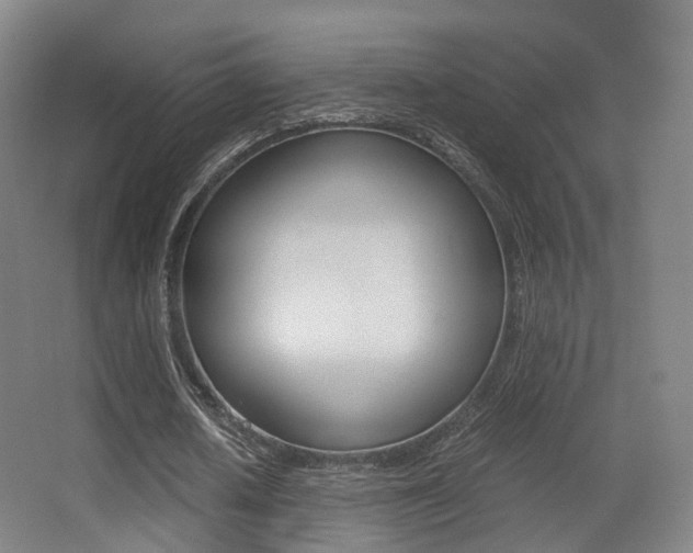X0000062850626200601130922