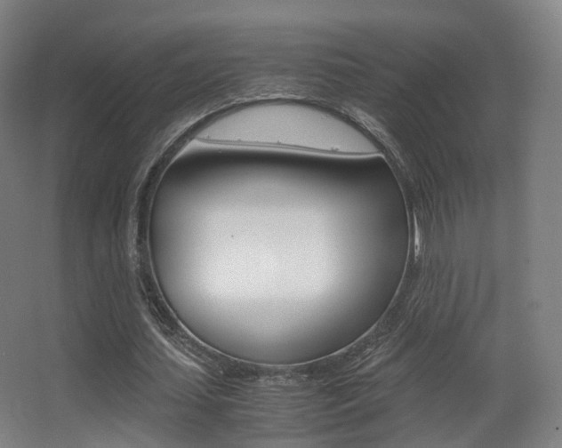 X0000062850627200601130922