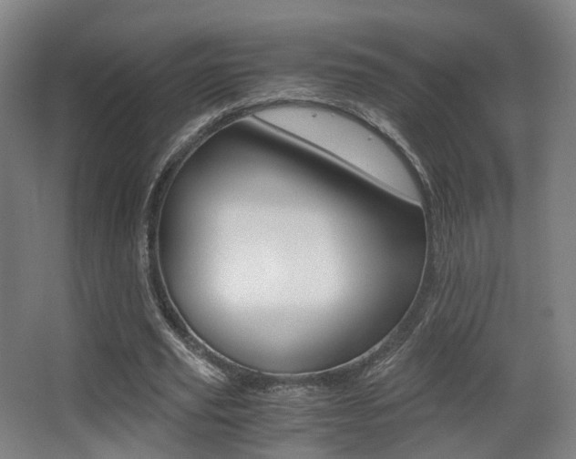 X0000062850629200601130922