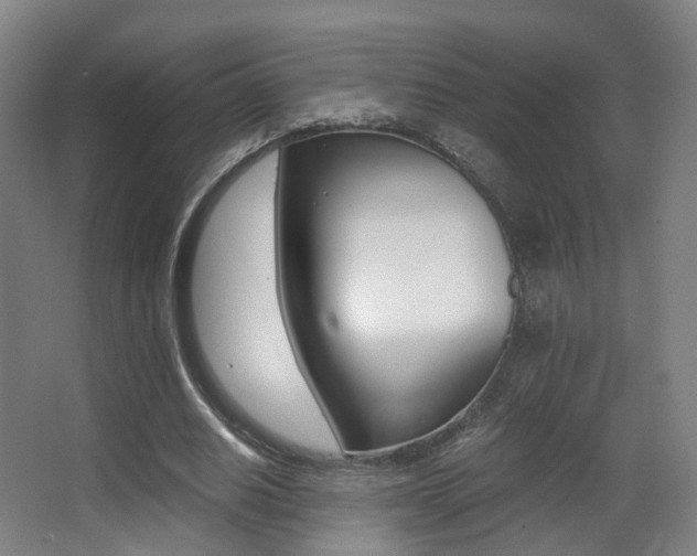X0000062850630200601130922