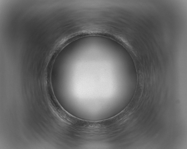 X0000062850631200601130922