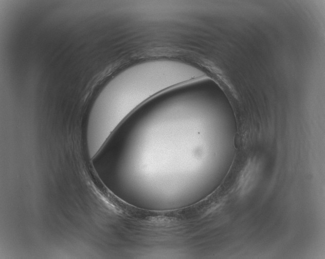 X0000062850633200601130922
