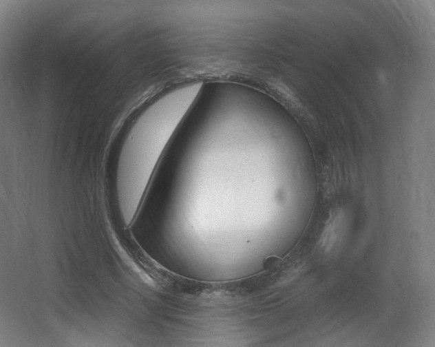 X0000062850634200601130922