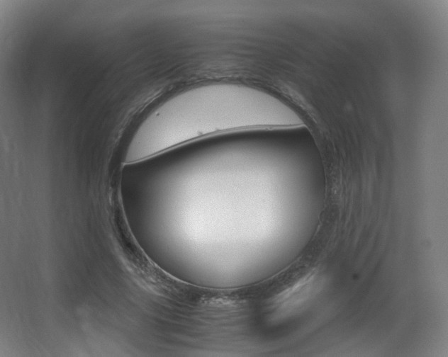 X0000062850635200601130922