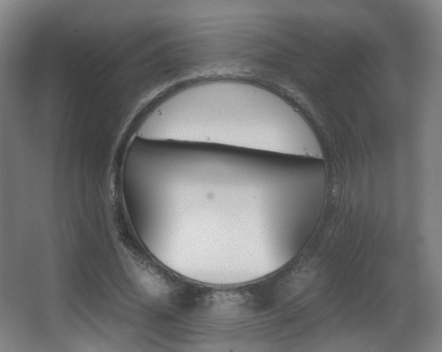 X0000062850636200601130922
