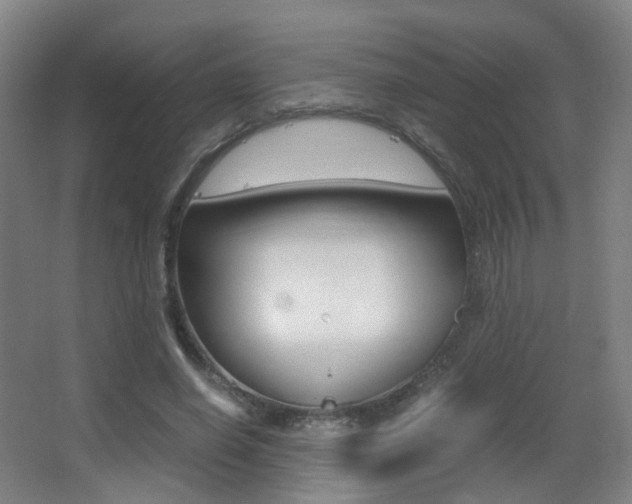 X0000062850638200601130922