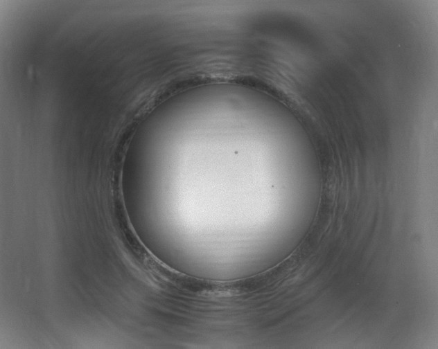 X0000062850639200601130922