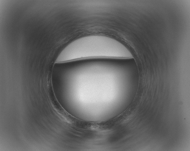 X0000062850641200601130922