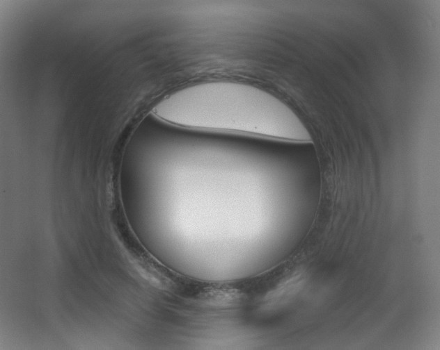 X0000062850642200601130922