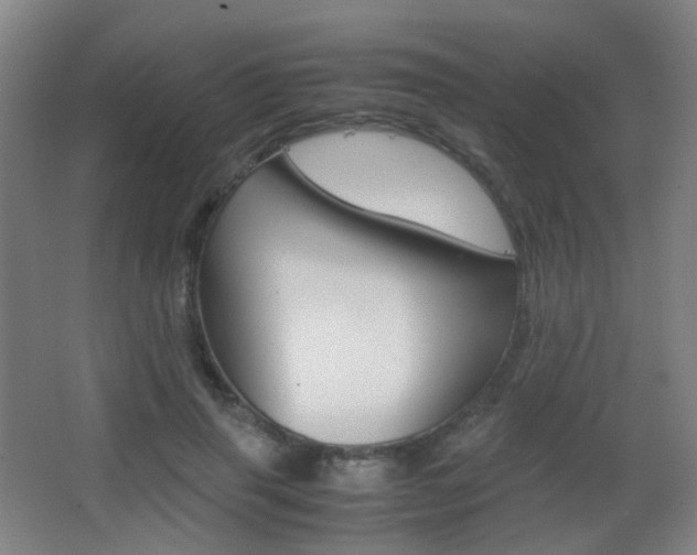 X0000062850645200601130922