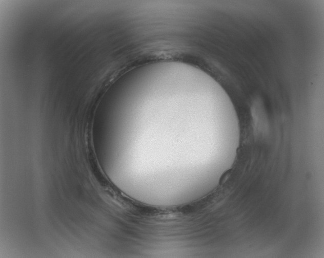 X0000062850646200601130922