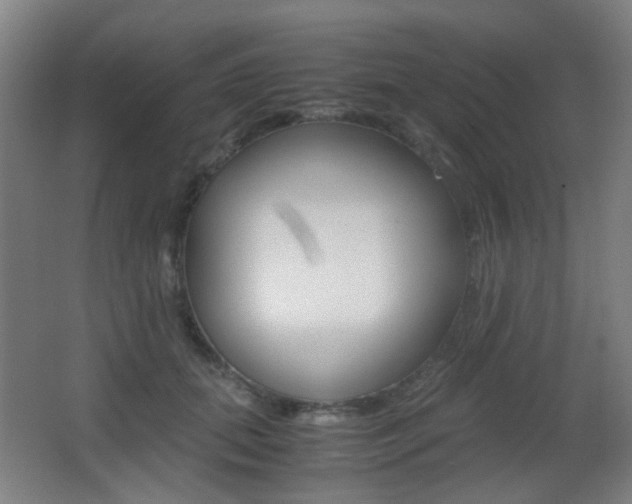 X0000062850655200601130922