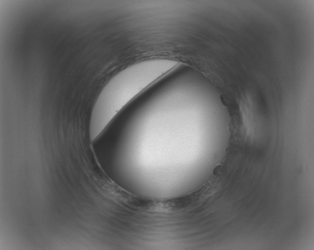 X0000062850656200601130922