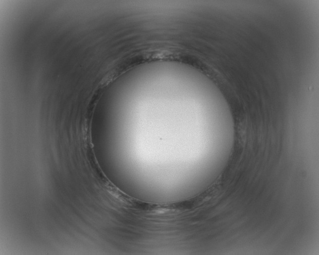 X0000062850657200601130922