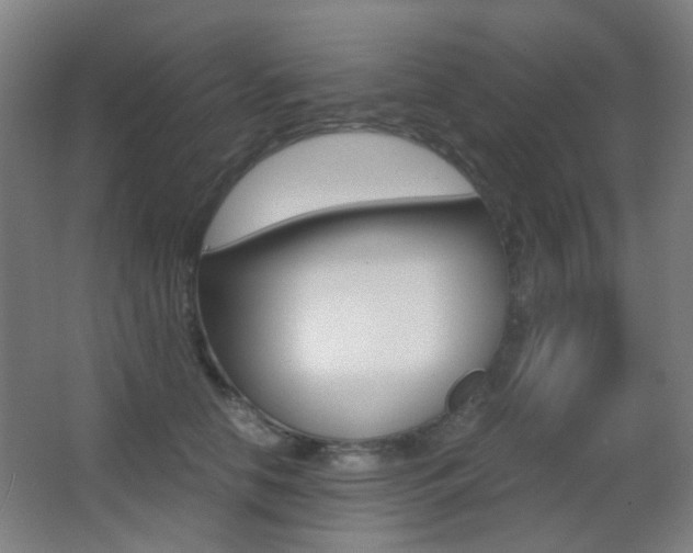 X0000062850658200601130922