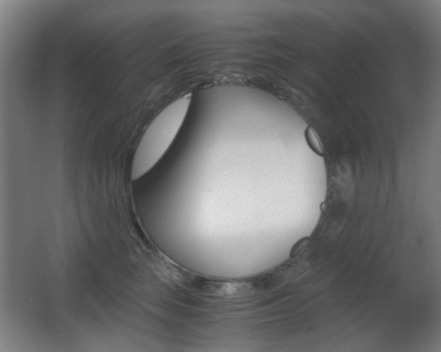 X0000062850663200601130922