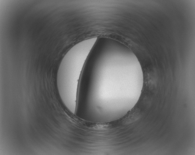 X0000062850664200601130922