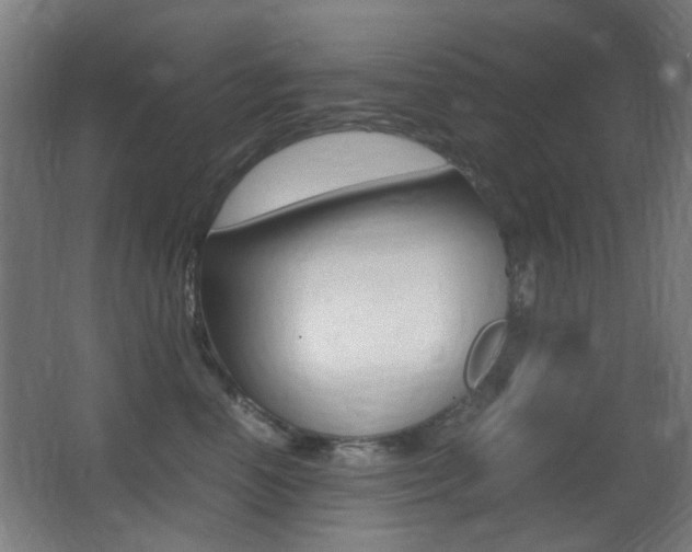 X0000062850666200601130922