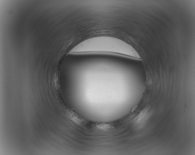 X0000062850669200601130922
