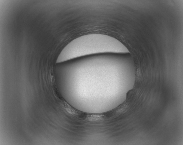X0000062850671200601130922
