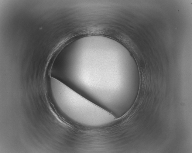 X0000062850674200601130922