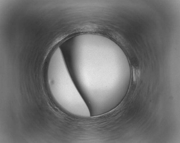 X0000062850675200601130921