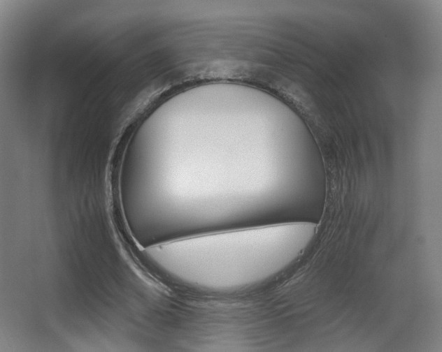 X0000062850678200601130921