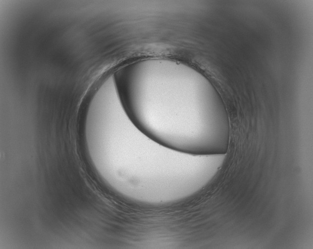X0000062850679200601130921