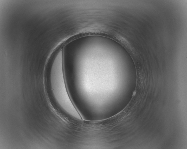 X0000062850680200601130921