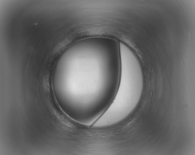 X0000062850681200601130921