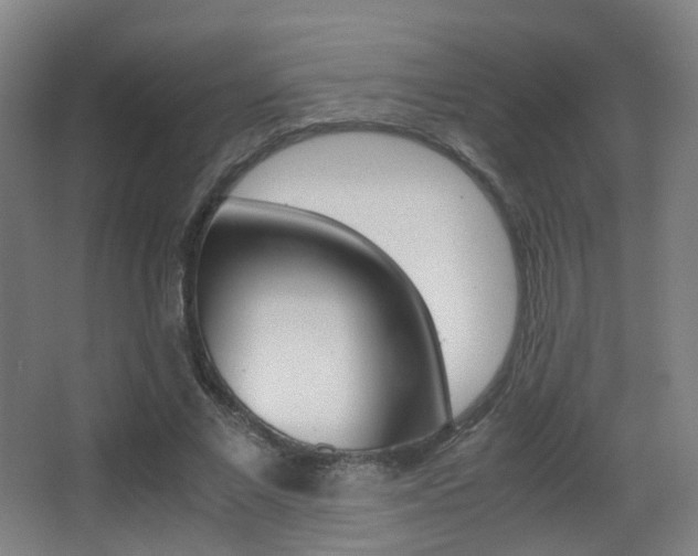 X0000062850685200601130921