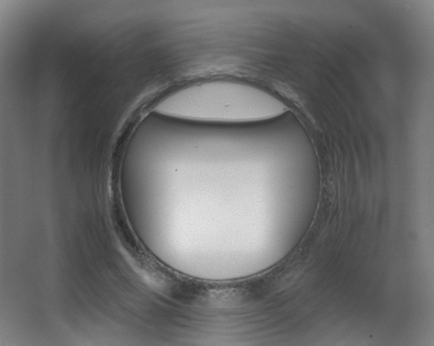X0000062850686200601130921