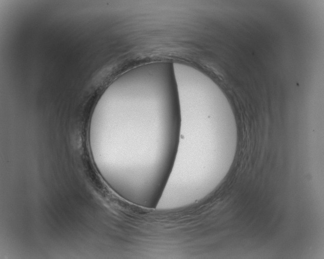 X0000062850687200601130921