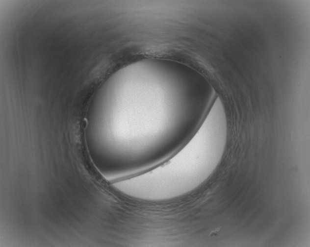 X0000062850689200601130921