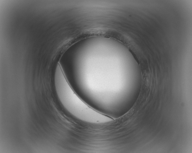 X0000062850692200601130921