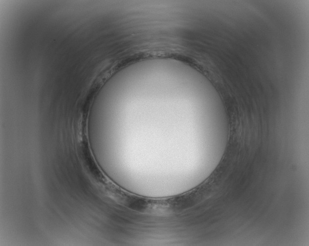 X0000062850694200601130921