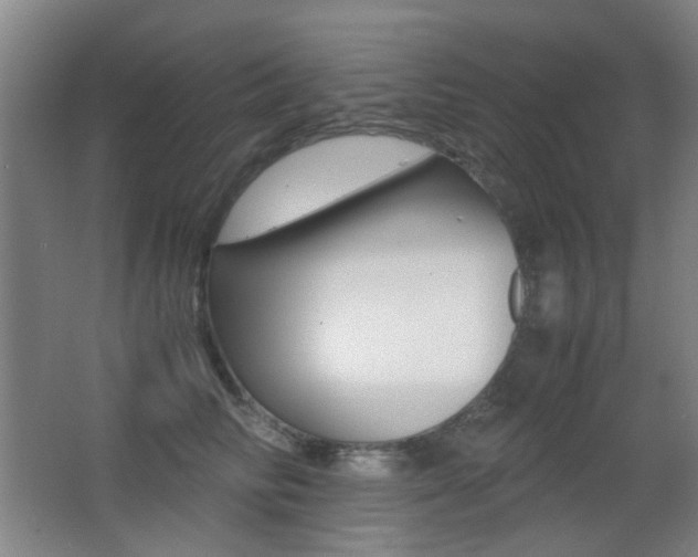 X0000062850710200601130921