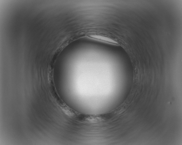 X0000062850712200601130921
