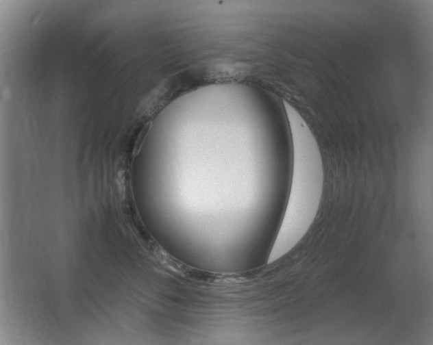 X0000062850716200601130921
