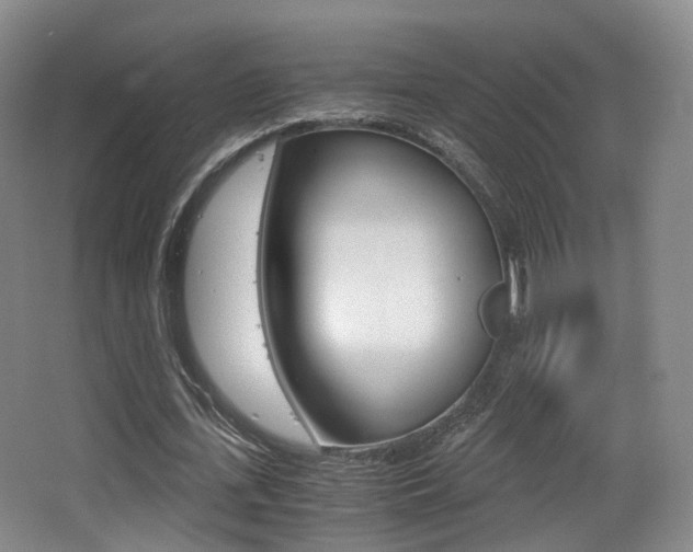 X0000062850723200601130920
